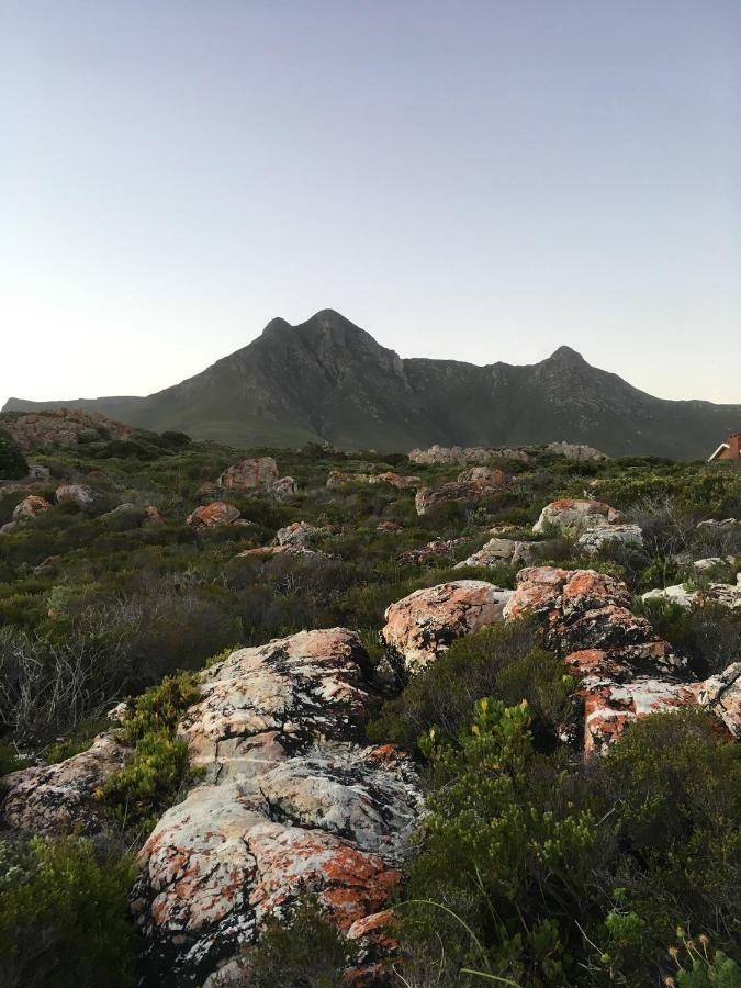 Apartmán Rondawel With Sea View Kleinmond Exteriér fotografie